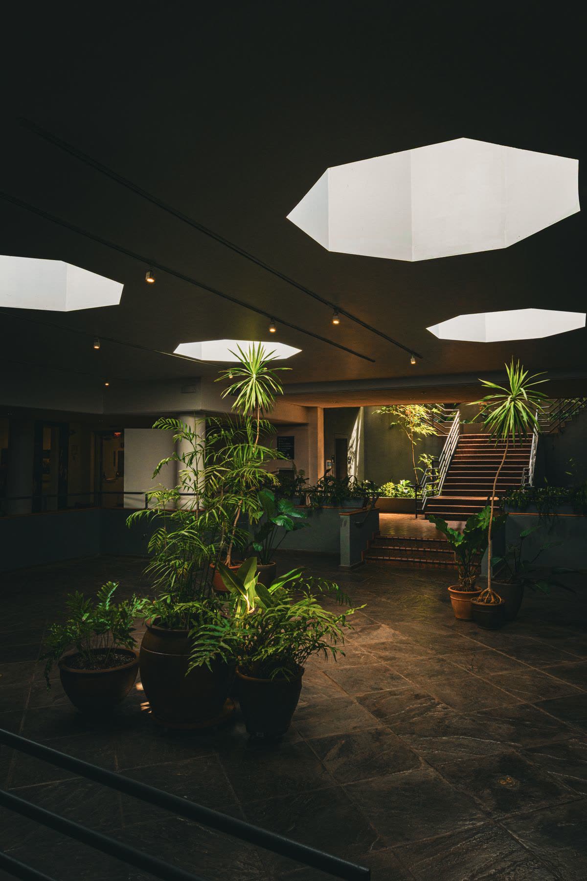Skylight & Atrium Glass Cleaning